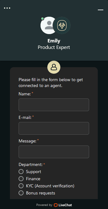Palm Support